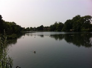 The boating lake is popular with families and hosts an array of wildfowl