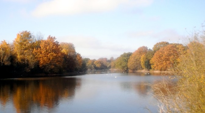 A mostly quiet and dry autumn on the way?