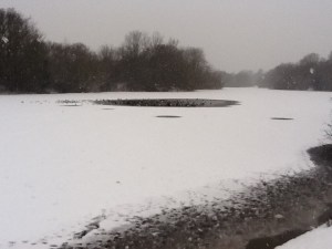 Shoulder of Mutton lake, Wanstead PArk