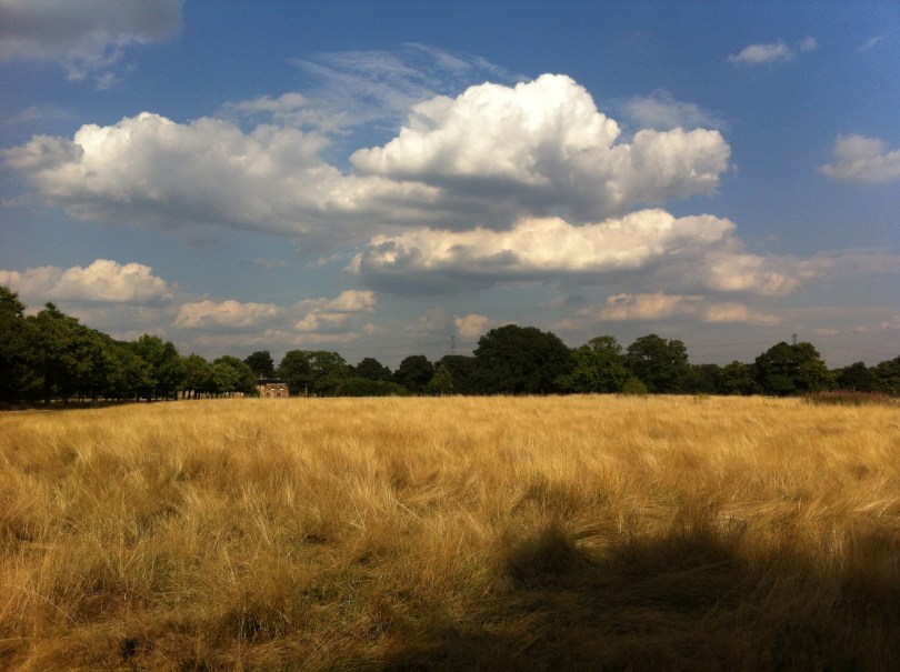 Autumn overlooking The Temple in Wanstead Park, by Wanstead Meteo
