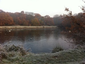 Shoulder of Mutton Pond, Wanstead Park by Scott Whitehead