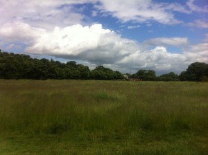 Summer overlooking The Temple in Wanstead Park by Wanstead Meteo