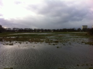 Wanstead Flats by Scott Whitehead