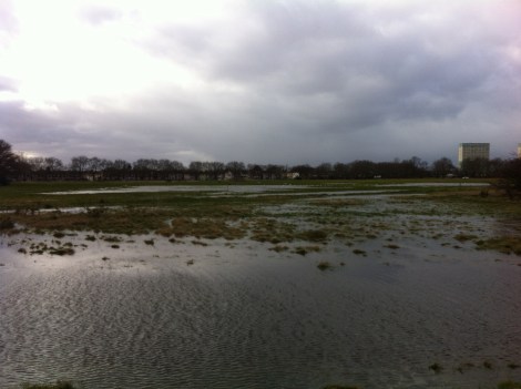 Wanstead Flats by Scott Whitehead