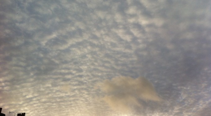 January 2014 wettest for over 130 years