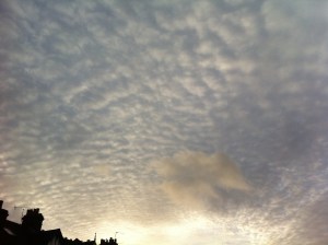 There was occasional respite from the persistent rain