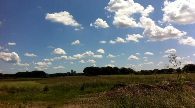 June 2014: warm and dry