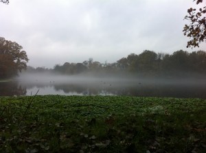 November 22nd by Perch Pond. Drizzle early morning couple with damp air left mist floating above the surface