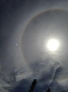 Long spells of cirrus gave a solar halo on the 17th. 