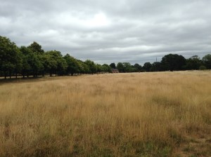 wanstead park
