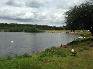 lake