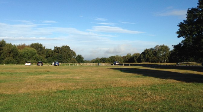 Summer 2018 forecast: average