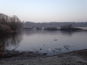 screen-shot-2017-01-27-at-12-31-17