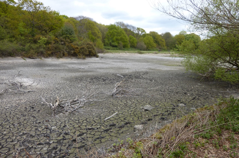 Screen Shot 2017-04-26 at 22.45.51