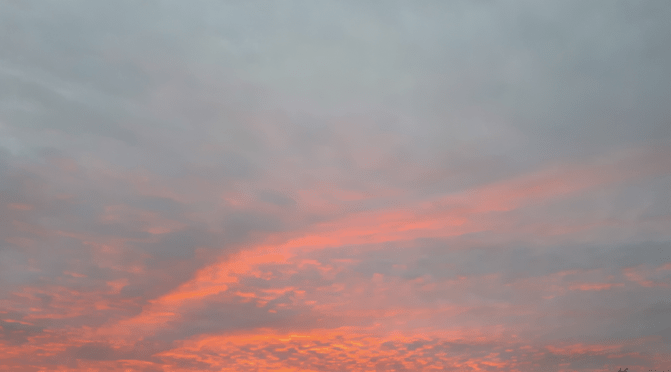 November 2017: below average, dry