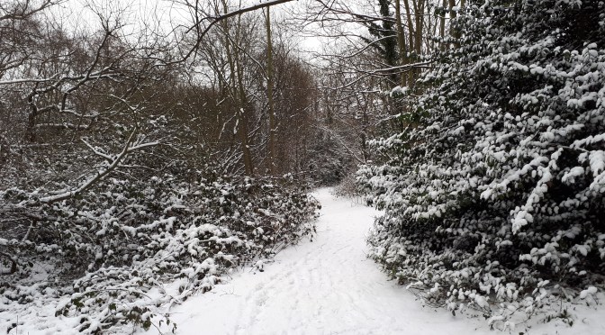 Winter 2017/18: average, cold start and end