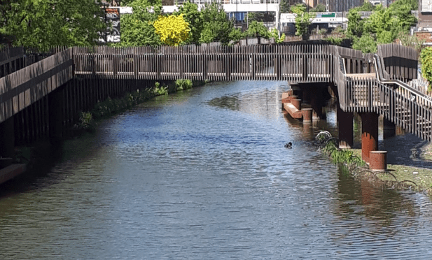 In the tracks of Luke Howard