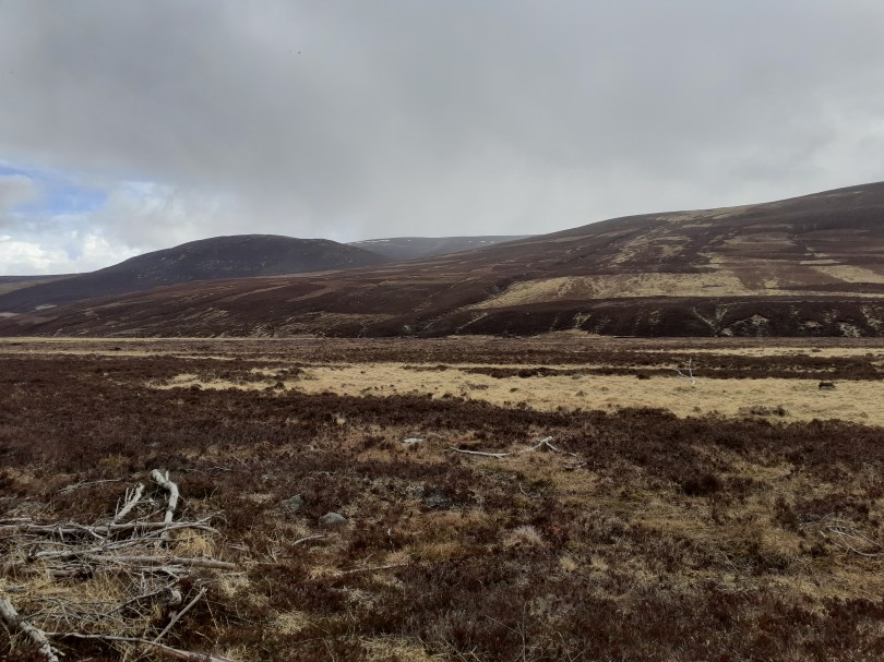 Carn Mor, 634m