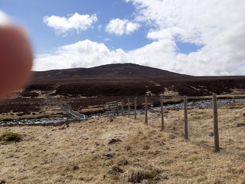 Cnapan Garbh, 674m