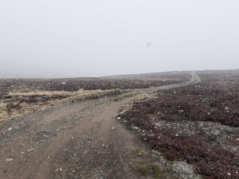 Heavy snow showers really hampered visibility at times