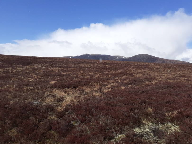An Sgarsoch, 1006m