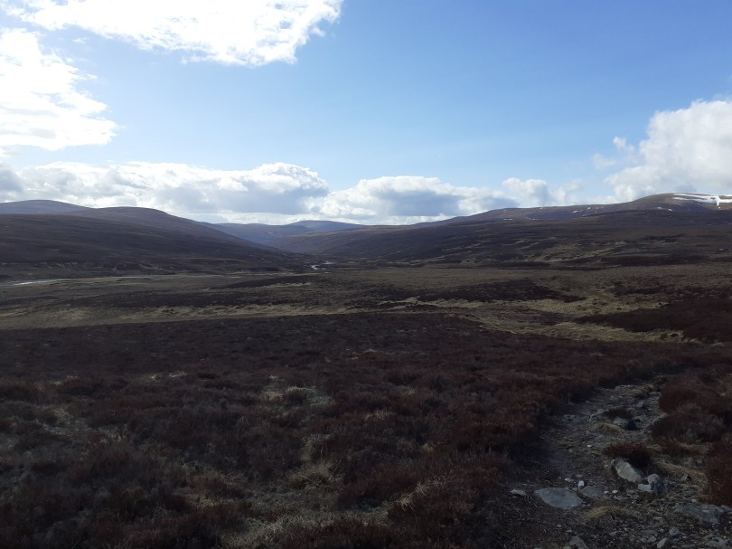 The path and burn could be seen stretching into the distance