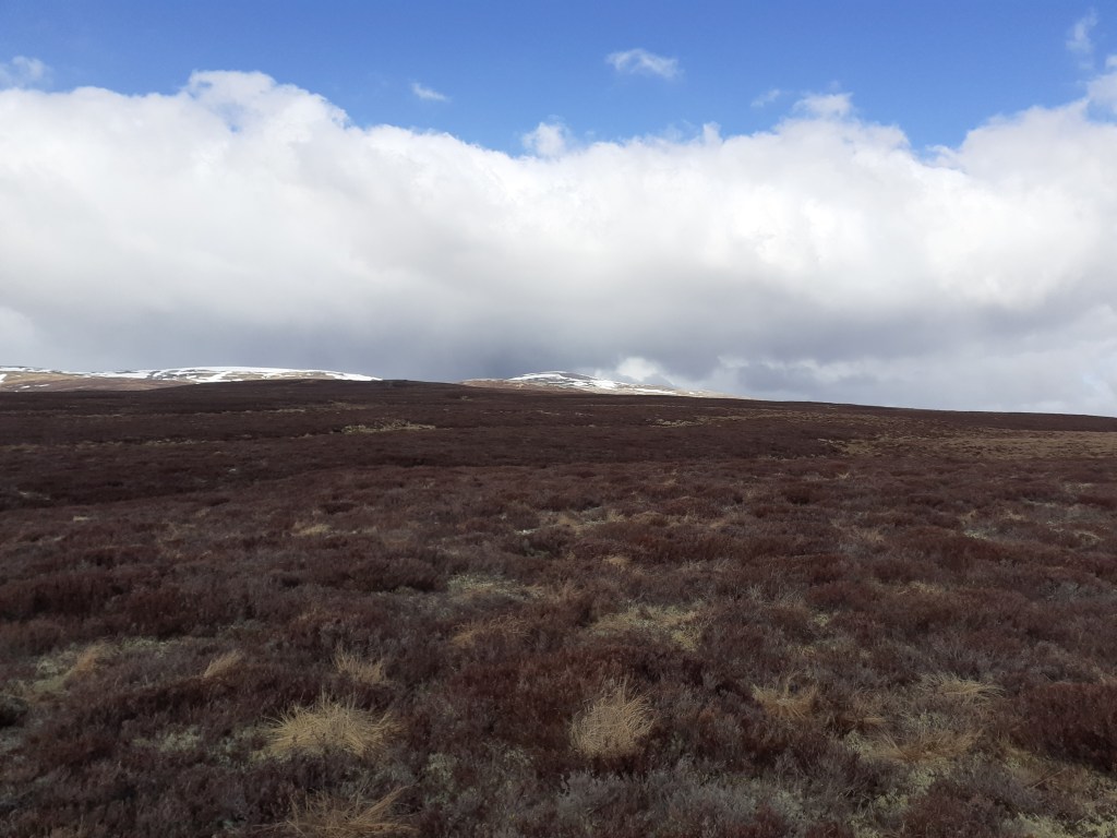 The foothills of the Cairngorm 4000s