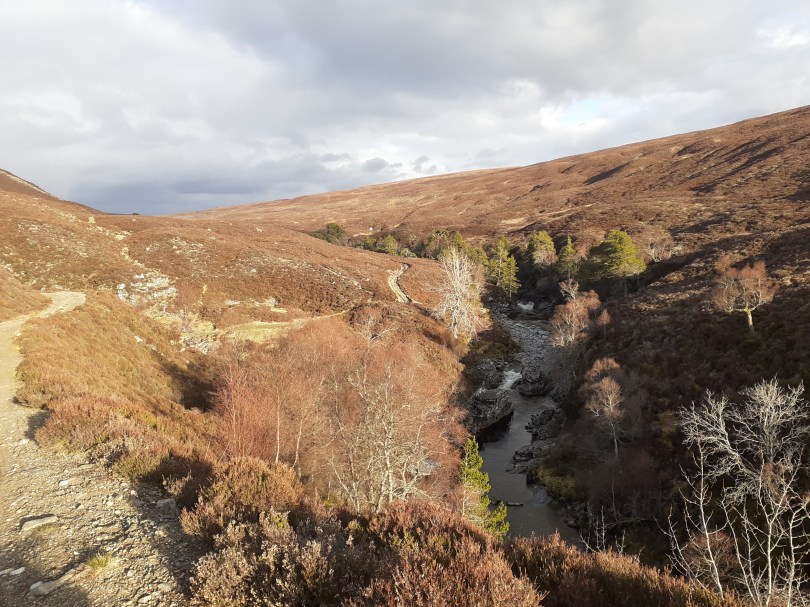 Subtle changes in the landscape as the valley morphs into Glen Feshie