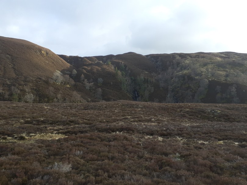 Glen Feshie. The steep-sided valley with abundant woodland reminded me of Val Sesia in Piemonte