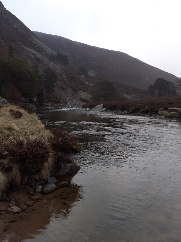 The River Feshie. Yet another ford