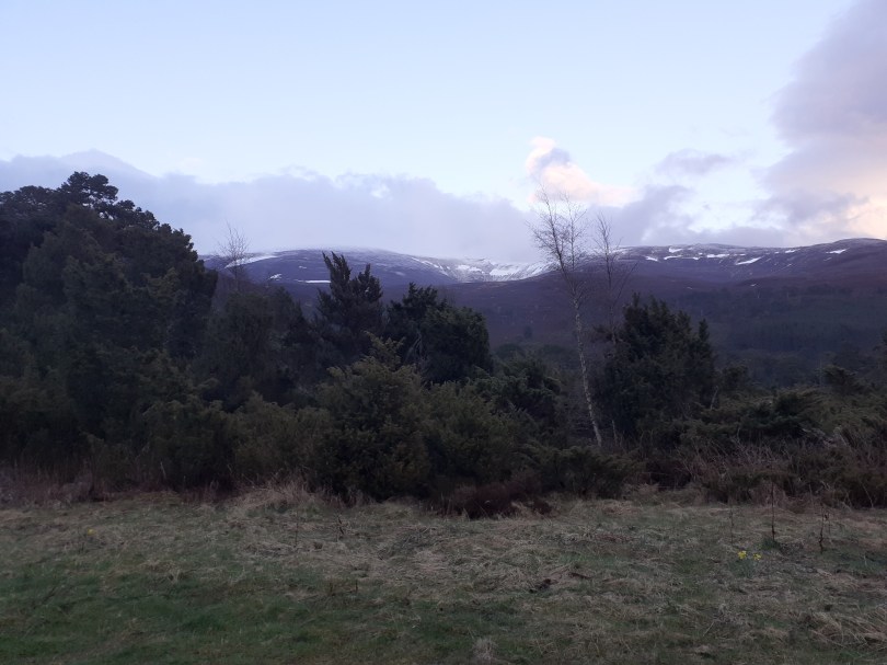 Distant snowy peaks